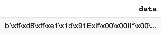 bytes of the JPG encoding (notice the Exif)